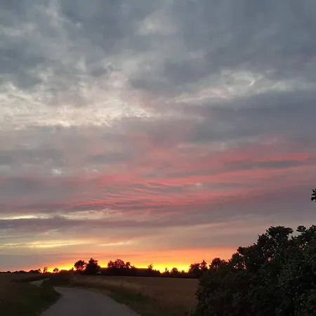 5 Star In Sydals-by Traum