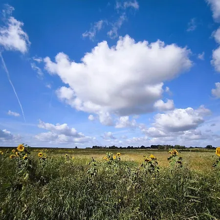 Дом отдыха 5 Star In Sydals-by Traum Skovmose