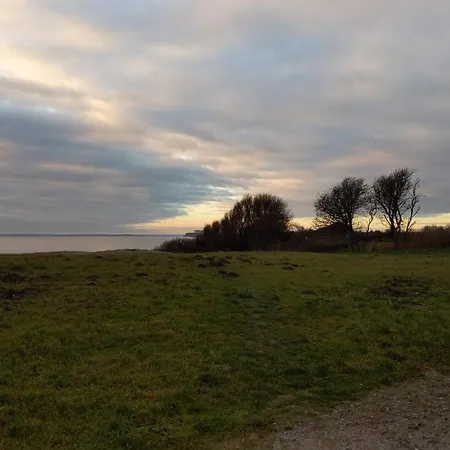 5 Star In Sydals-by Traum Skovmose